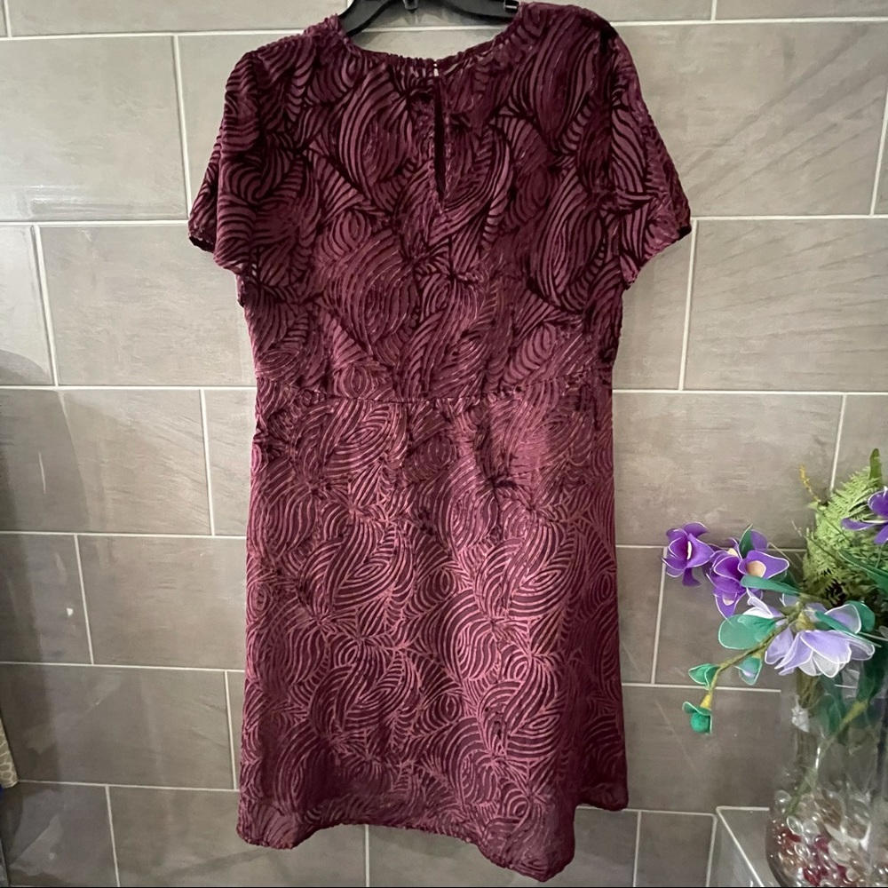 MICHAEL KORS Women's Cordovan Velvet Flocked Flutter-sleeve Shift Dress size 16 - Picture 9 of 16